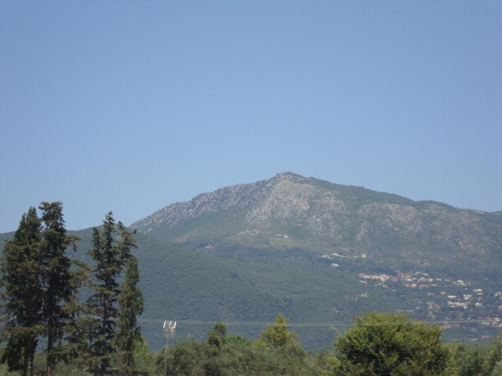 The Red Dragon Dassia (Corfu)